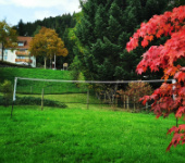 Europisches Gste- & Seminarhaus Todtmoos - Hochschwarzwald Unterkunftsbild 4 – Klassenfahrt Schwarzwald und Europa-Park von Jugendtours