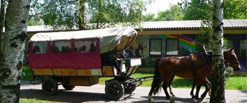 Sport- und Ferienpark Hoher Hain Limbach-Oberfrohna (Kategorie 1) Innenansicht – Klassenfahrt Sport-  und Ferienpark Hoher Hain Limbach-Oberfrohna von Jugendtours