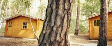 Ferienanlage Am Grenzbach Bad Schmiedeberg OT Grokorgau Auenansicht – Klassenfahrt Bad Schmiedeberg von Jugendtours