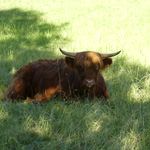 Programmpaket INSEL WOLLIN – Klassenfahrt Polnische Ostsee von Jugendtours