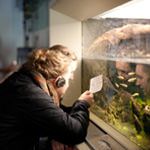 Programmpaket FUN – Klassenfahrt Center Parcs - Port Zlande von Jugendtours