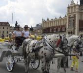 7 – Klassenfahrt Krakau von Jugendtours