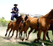 7 – Klassenfahrt Siofok / Balaton von Jugendtours