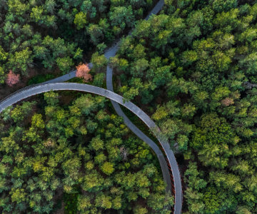 Impressionen von der Klassenfahrt 4 – Klassenfahrt Nationalpark Bosland - Ferienpark De Vossemeren von Jugendtours