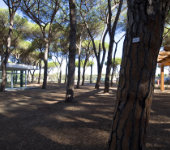 Camping Village Roma Capitol Unterkunftsbild 2 – Klassenfahrt Rom von Jugendtours