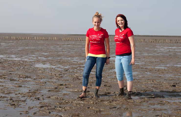 Klassenfahrt ans Wattenmeer nach Butjadingen