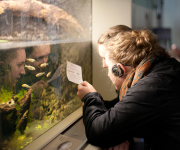 Schulwandertag mit Jugendtours – Leipzig - Zoo inklusive Tropenerlebniswelt Gondwanaland