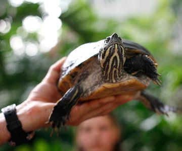 Schulwandertag mit Jugendtours – Potsdam - Biosphre