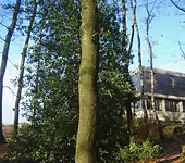 Jugendherberge Lindlar Unterkunftsbild  &ndash; Klassenfahrt Lindlar von Jugendtours