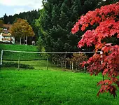 Europ�isches G�ste- & Seminarhaus Todtmoos - Hochschwarzwald Unterkunftsbild  &ndash; Klassenfahrt Schwarzwald und Europa-Park von Jugendtours
