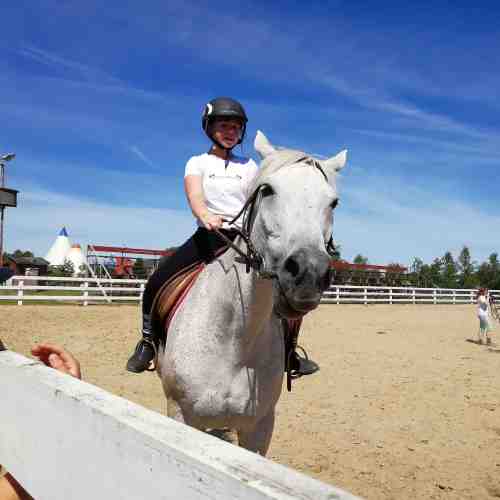 Dein Reitkurs - inkl. erfahrener und lizenzierter Reittrainer