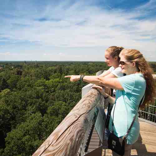 Baumkronenpfad Beelitz