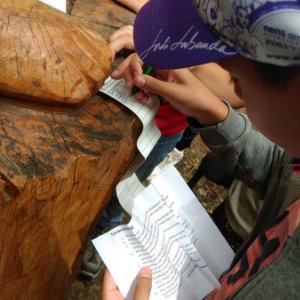 Geocaching Schatzsuche in der Dübener Heide