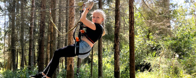 Saalburg - Stausee Bleilochtalsperre jetzt buchen! Saalburg - Stausee Bleilochtalsperre jetzt buchen!