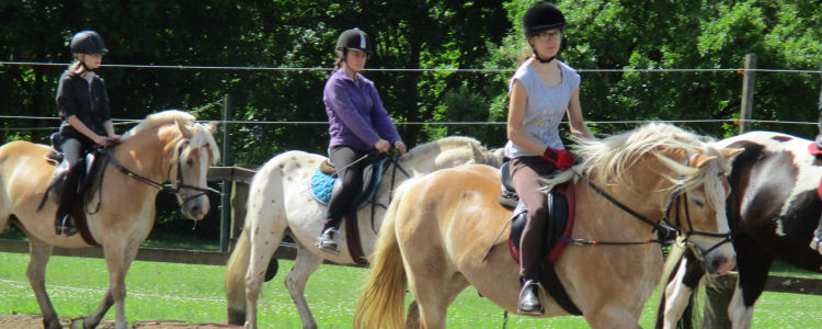 Reiterferien Mecklenburg jetzt buchen! Reiterferien Mecklenburg jetzt buchen!