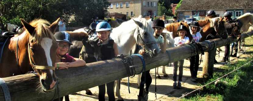 Reiterferien Mecklenburg jetzt buchen! Reiterferien Mecklenburg jetzt buchen!