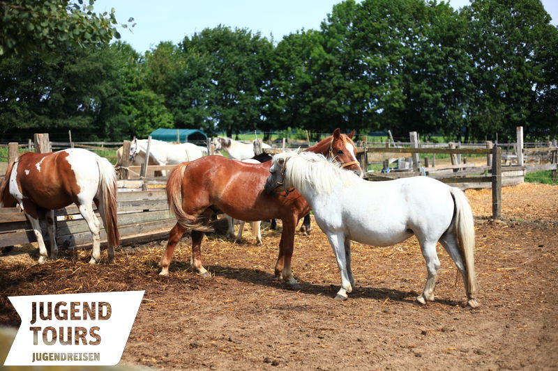 Unterkunftsbilder Reiterferien Mecklenburg