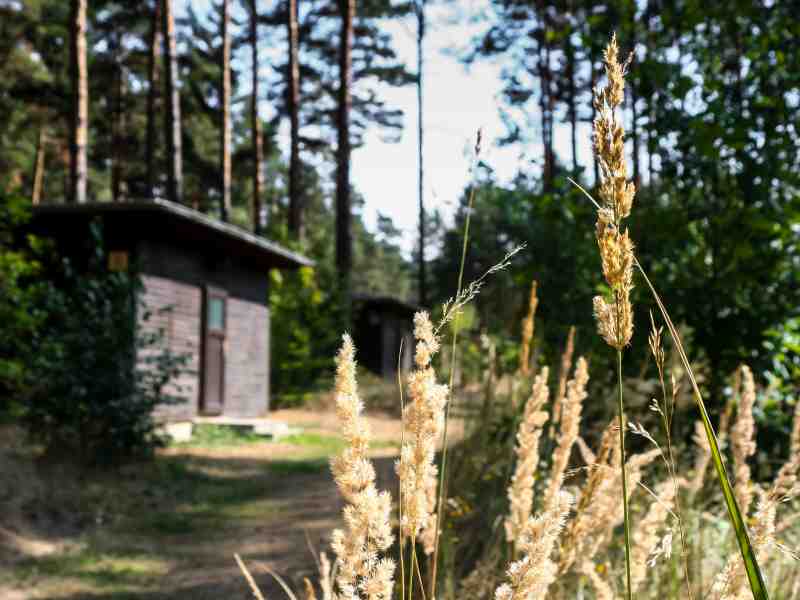 Wir sind Jugendtours-Jugendreisen!