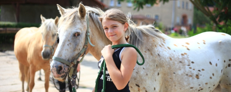 Ostern auf dem Reiterhof in Mecklenburg jetzt buchen! Ostern auf dem Reiterhof in Mecklenburg jetzt buchen!