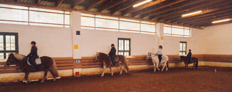 Reiterferien Kattien/Lüneburger Heide jetzt buchen!