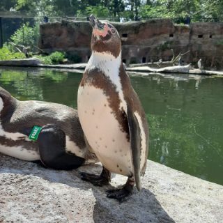 Besuch des Tierpark Limbach-Oberfrohna