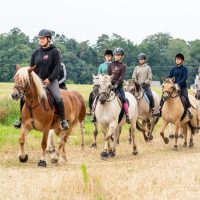 Herbstferien auf dem Reiterhof