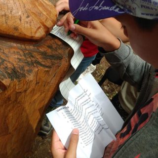 Geocaching Schatzsuche in der Dübener Heide